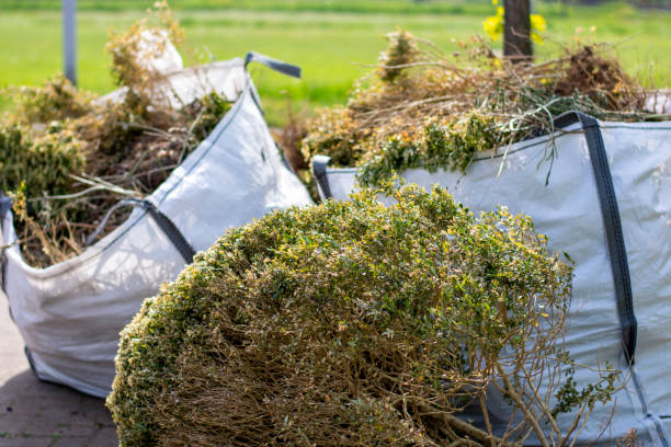 Best Electronics and E-Waste Disposal  in Marshall, MO
